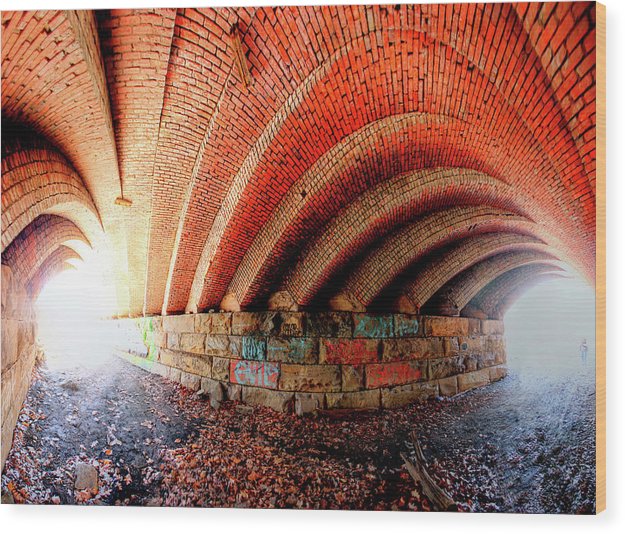 Panorama 2570 Abdondoned Bridge - Wood Print