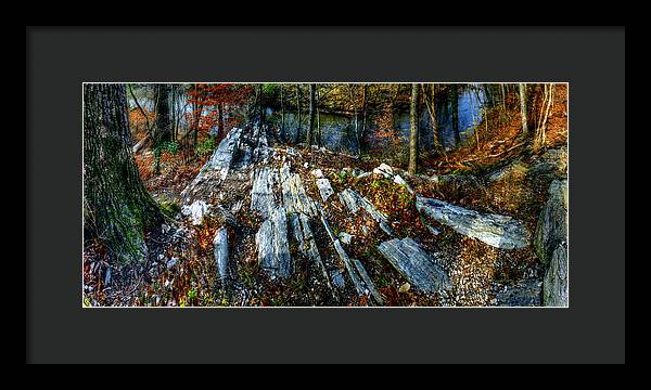 Panorama 3170 Morris Arboretum of the University of Pennsylvania - Framed Print