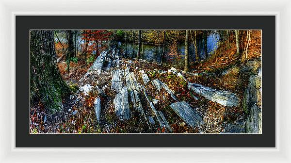 Panorama 3170 Morris Arboretum of the University of Pennsylvania - Framed Print