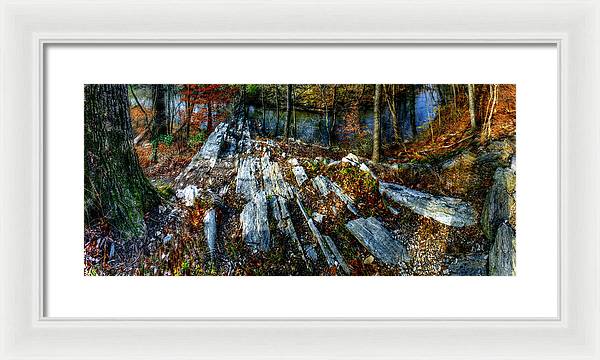 Panorama 3170 Morris Arboretum of the University of Pennsylvania - Framed Print