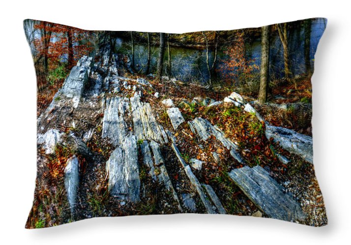 Panorama 3170 Morris Arboretum of the University of Pennsylvania - Throw Pillow