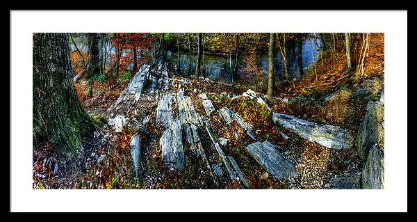 Panorama 3170 Morris Arboretum of the University of Pennsylvania - Framed Print