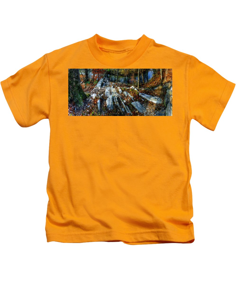 Panorama 3170 Morris Arboretum of the University of Pennsylvania - Kids T-Shirt