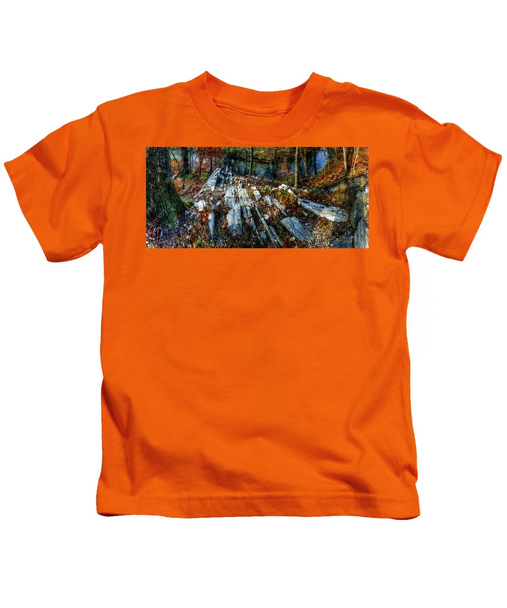 Panorama 3170 Morris Arboretum of the University of Pennsylvania - Kids T-Shirt