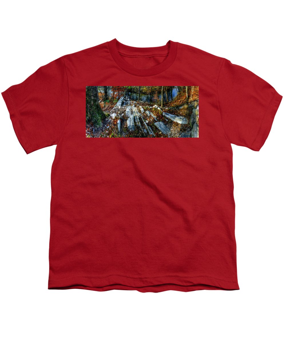 Panorama 3170 Morris Arboretum of the University of Pennsylvania - Youth T-Shirt