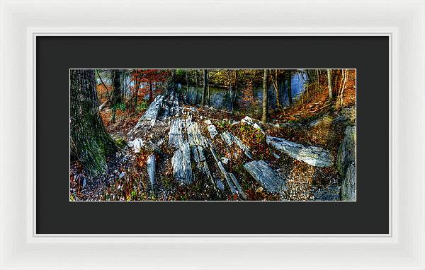 Panorama 3170 Morris Arboretum of the University of Pennsylvania - Framed Print