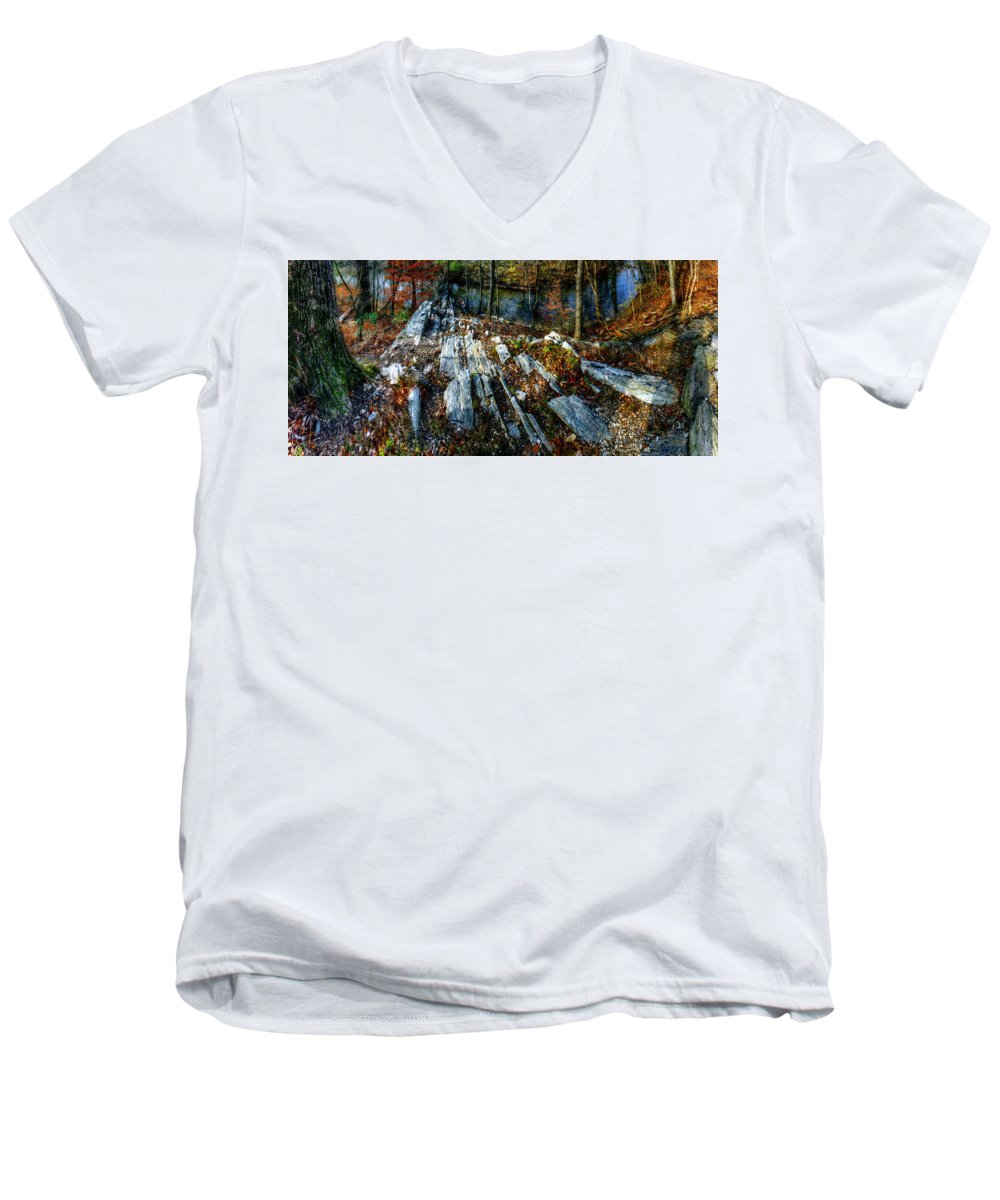 Panorama 3170 Morris Arboretum of the University of Pennsylvania - Men's V-Neck T-Shirt