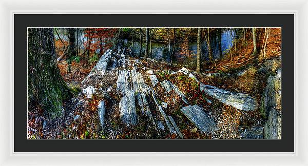 Panorama 3170 Morris Arboretum of the University of Pennsylvania - Framed Print