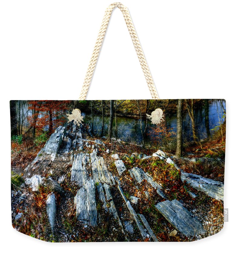 Panorama 3170 Morris Arboretum of the University of Pennsylvania - Weekender Tote Bag