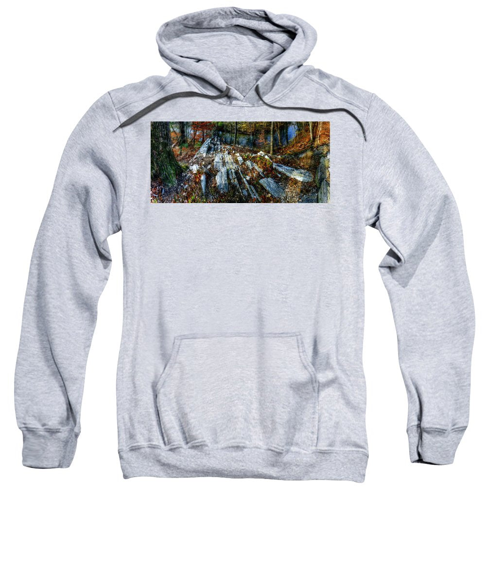 Panorama 3170 Morris Arboretum of the University of Pennsylvania - Sweatshirt