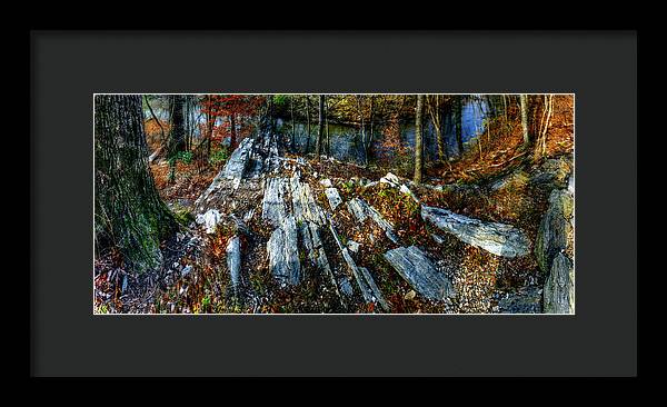 Panorama 3170 Morris Arboretum of the University of Pennsylvania - Framed Print