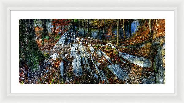 Panorama 3170 Morris Arboretum of the University of Pennsylvania - Framed Print