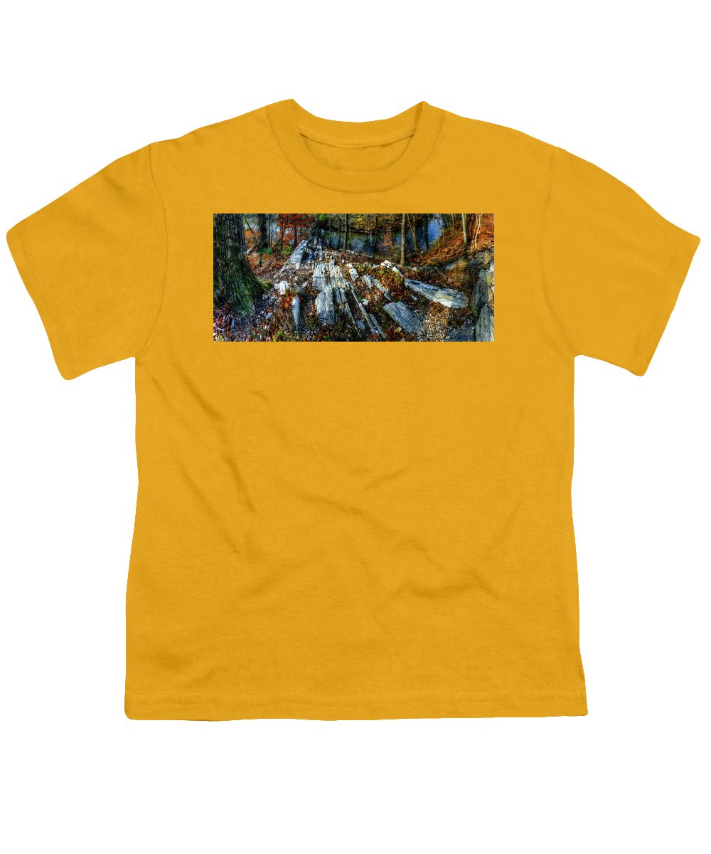 Panorama 3170 Morris Arboretum of the University of Pennsylvania - Youth T-Shirt