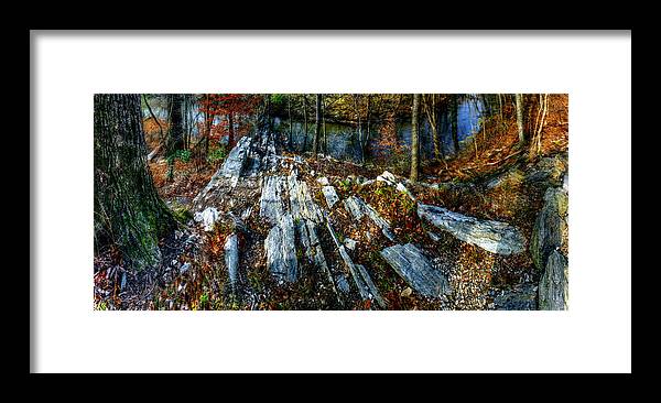Panorama 3170 Morris Arboretum of the University of Pennsylvania - Framed Print