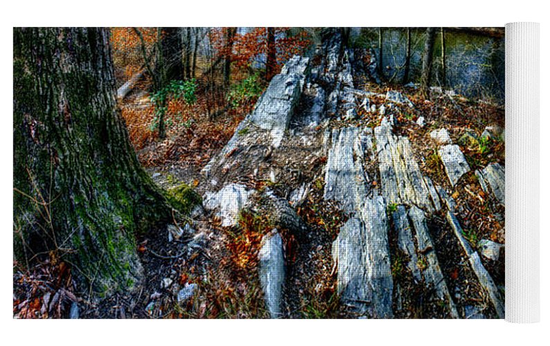 Panorama 3170 Morris Arboretum of the University of Pennsylvania - Yoga Mat