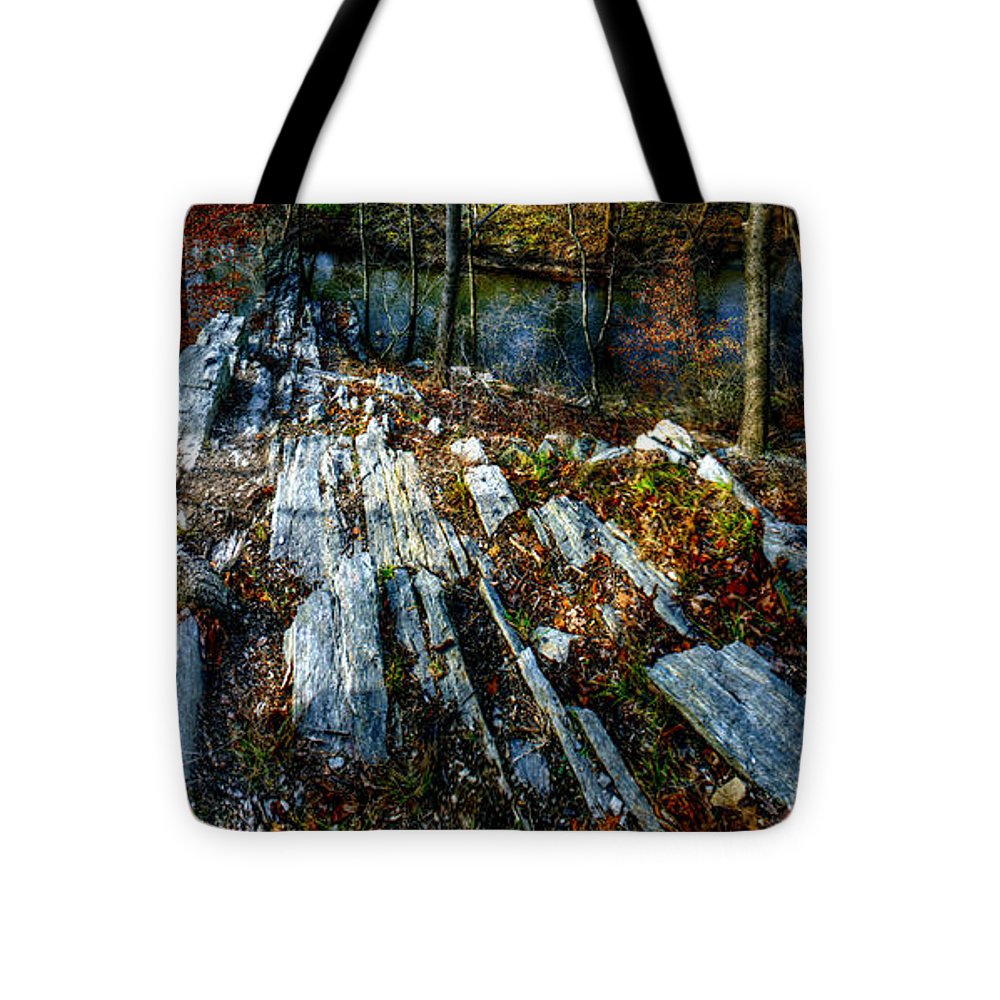 Panorama 3170 Morris Arboretum of the University of Pennsylvania - Tote Bag