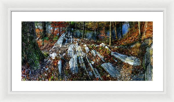 Panorama 3170 Morris Arboretum of the University of Pennsylvania - Framed Print