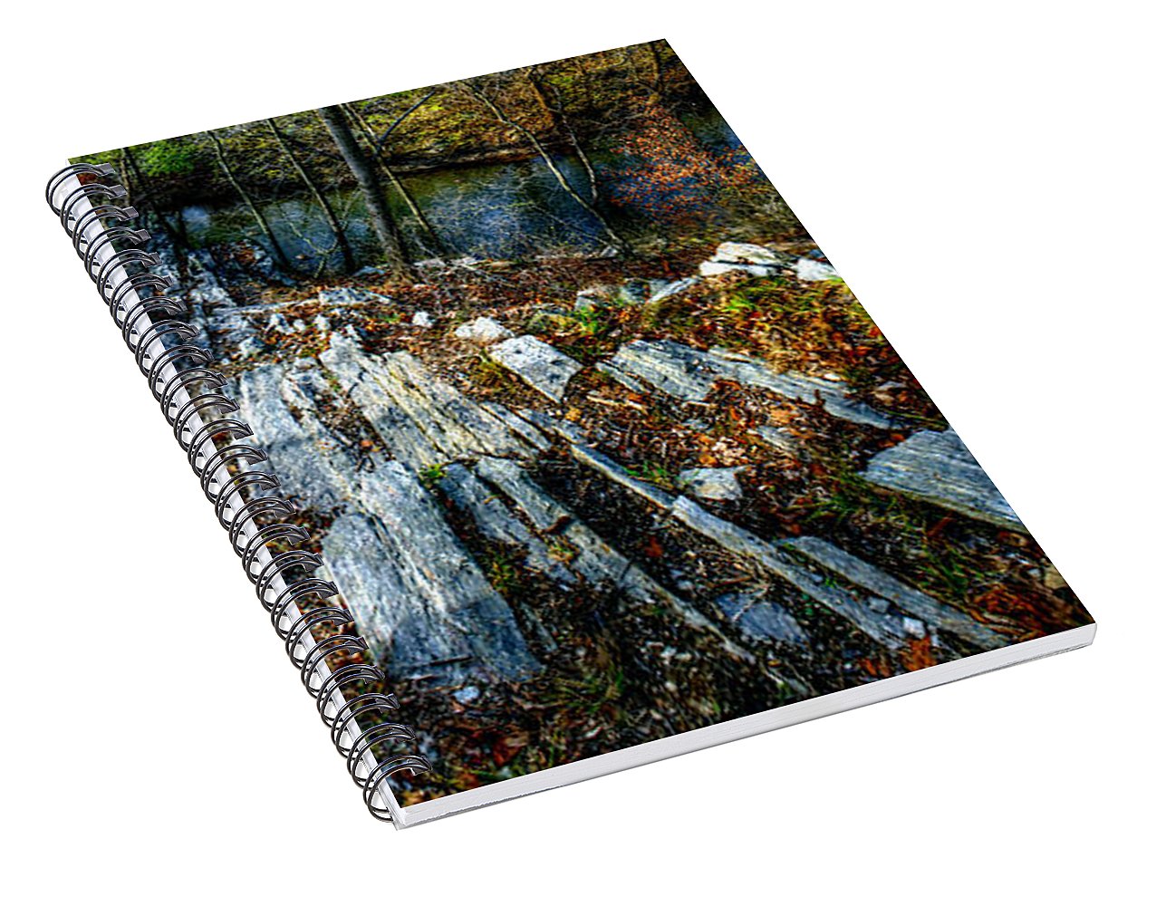 Panorama 3170 Morris Arboretum of the University of Pennsylvania - Spiral Notebook