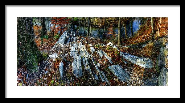 Panorama 3170 Morris Arboretum of the University of Pennsylvania - Framed Print
