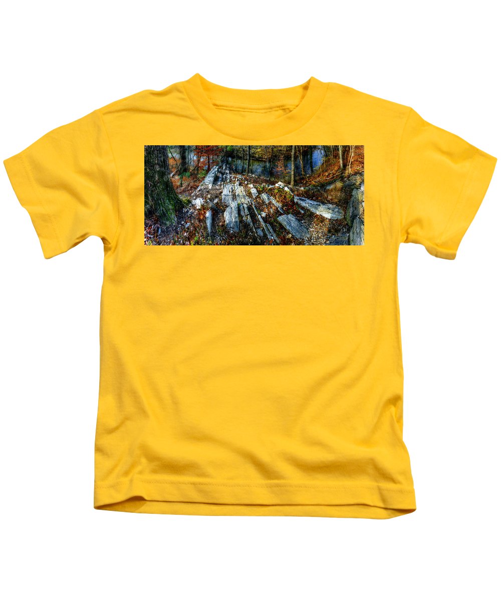 Panorama 3170 Morris Arboretum of the University of Pennsylvania - Kids T-Shirt