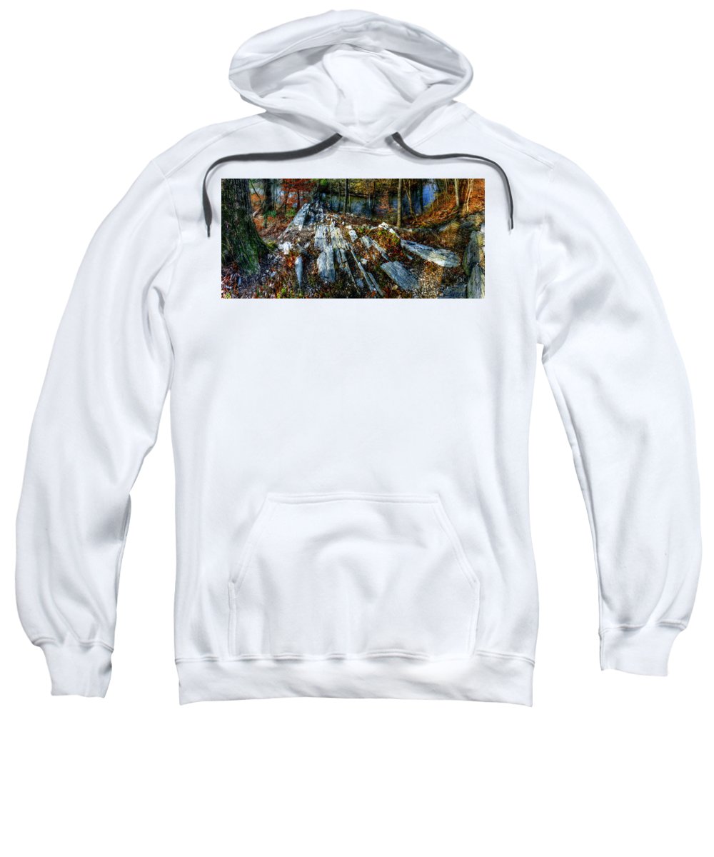 Panorama 3170 Morris Arboretum of the University of Pennsylvania - Sweatshirt