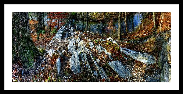 Panorama 3170 Morris Arboretum of the University of Pennsylvania - Framed Print