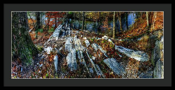 Panorama 3170 Morris Arboretum of the University of Pennsylvania - Framed Print