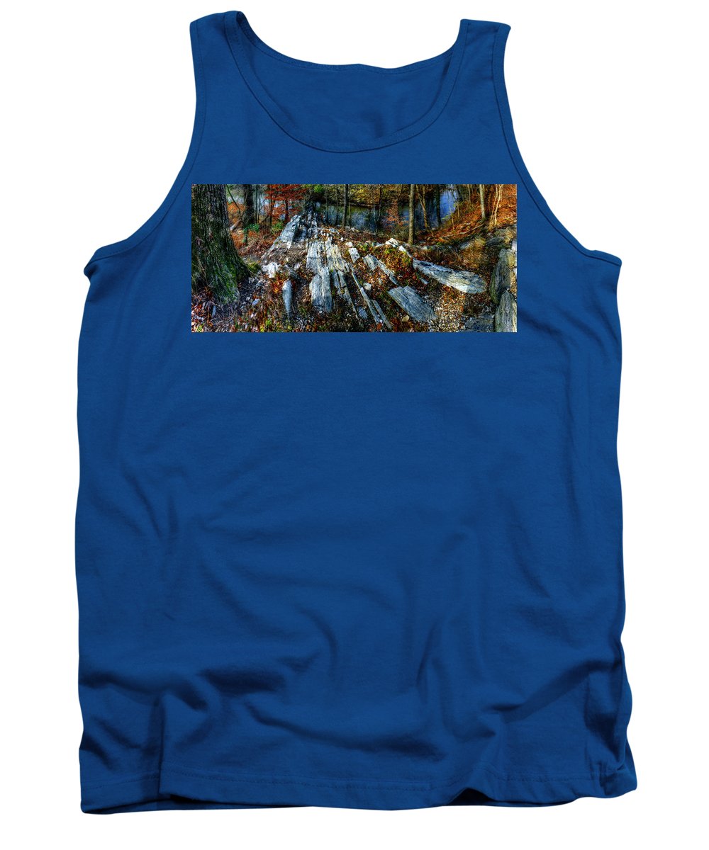 Panorama 3170 Morris Arboretum of the University of Pennsylvania - Tank Top