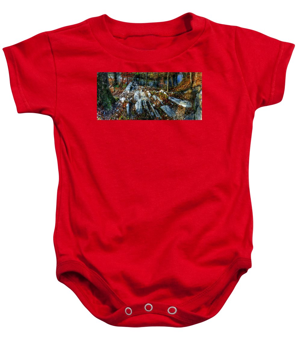 Panorama 3170 Morris Arboretum of the University of Pennsylvania - Baby Onesie