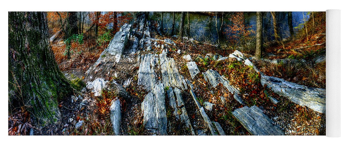 Panorama 3170 Morris Arboretum of the University of Pennsylvania - Yoga Mat