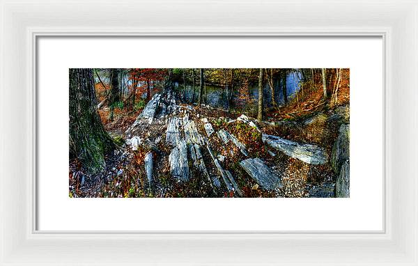 Panorama 3170 Morris Arboretum of the University of Pennsylvania - Framed Print