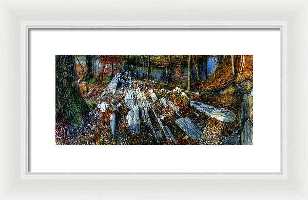 Panorama 3170 Morris Arboretum of the University of Pennsylvania - Framed Print