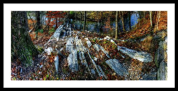 Panorama 3170 Morris Arboretum of the University of Pennsylvania - Framed Print