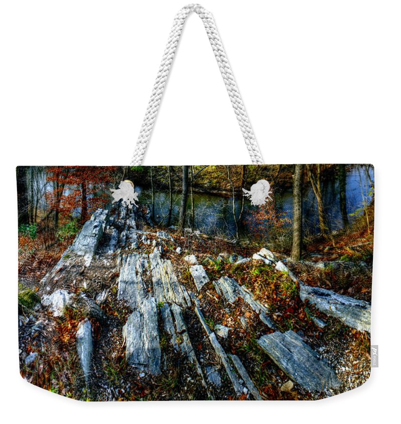Panorama 3170 Morris Arboretum of the University of Pennsylvania - Weekender Tote Bag
