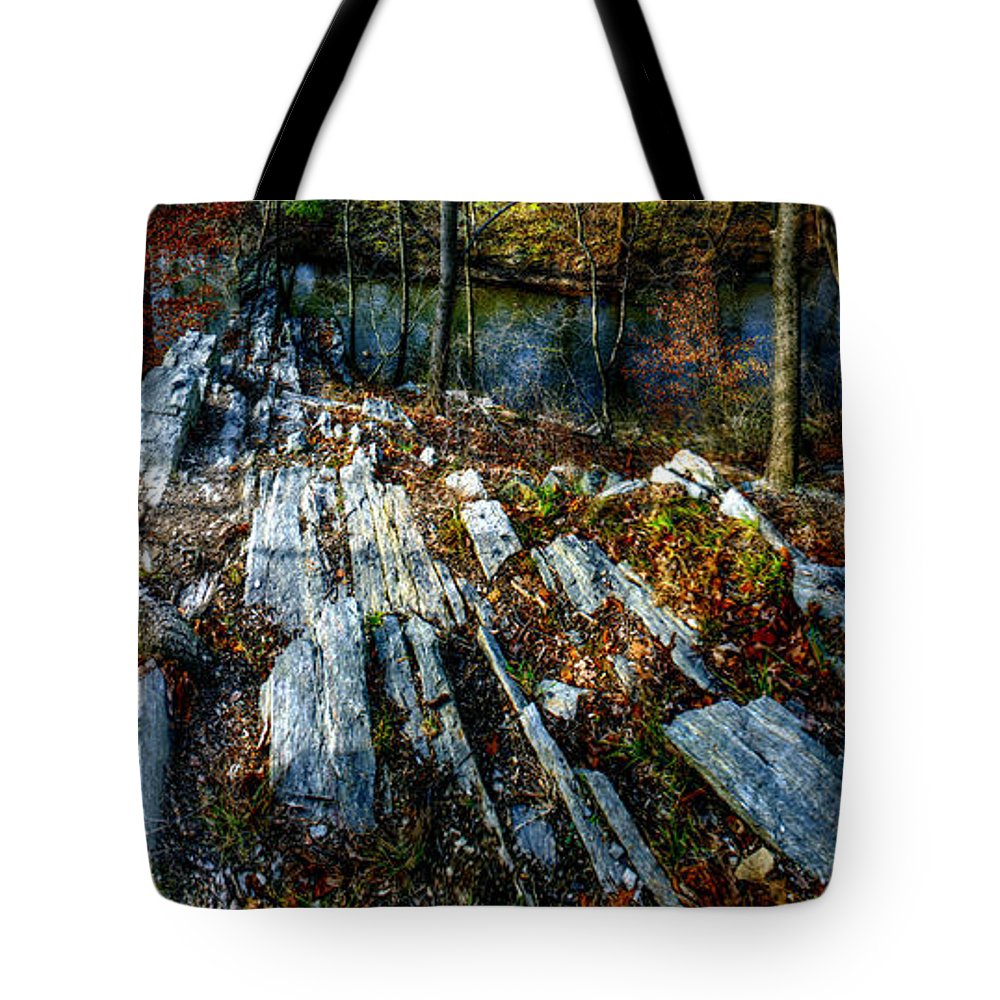 Panorama 3170 Morris Arboretum of the University of Pennsylvania - Tote Bag