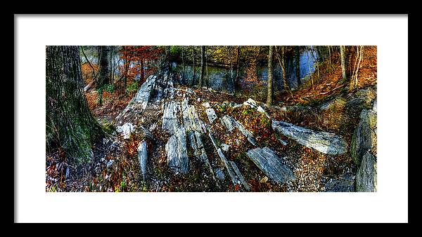 Panorama 3170 Morris Arboretum of the University of Pennsylvania - Framed Print