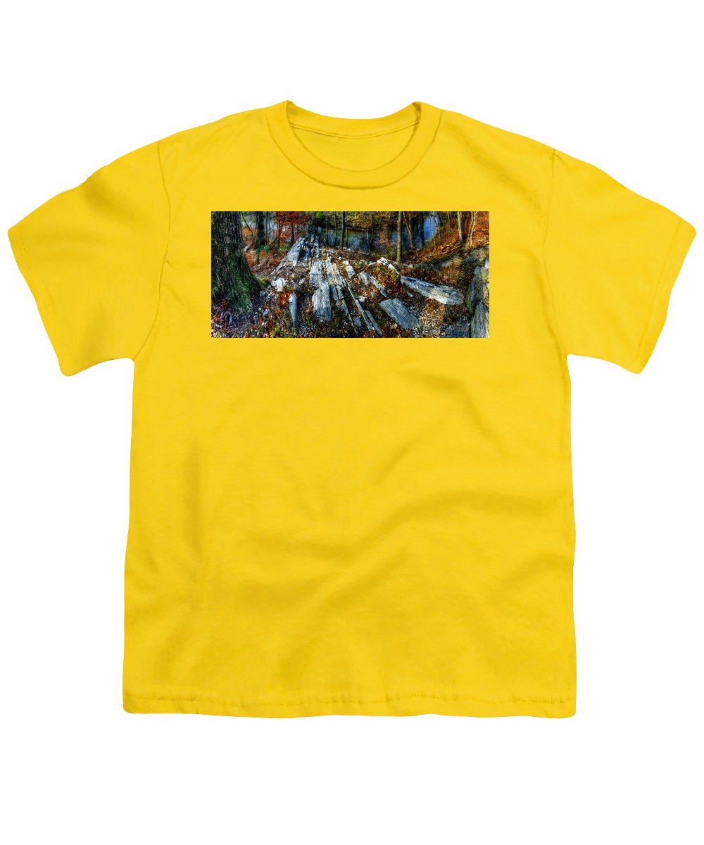 Panorama 3170 Morris Arboretum of the University of Pennsylvania - Youth T-Shirt