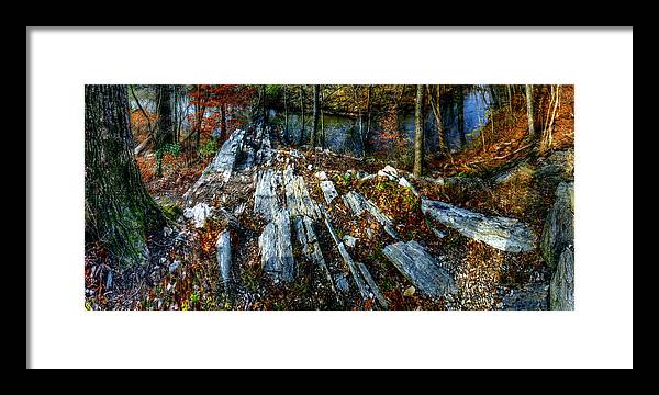 Panorama 3170 Morris Arboretum of the University of Pennsylvania - Framed Print