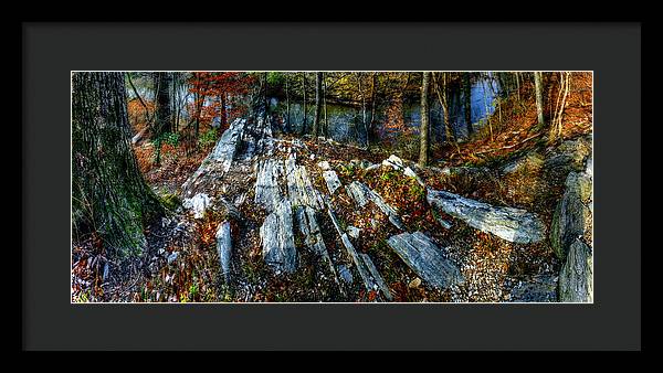 Panorama 3170 Morris Arboretum of the University of Pennsylvania - Framed Print