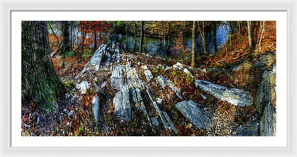 Panorama 3170 Morris Arboretum of the University of Pennsylvania - Framed Print