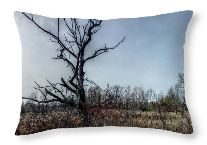 Panorama 3174 Morris Arboretum of the University of Pennsylvania - Throw Pillow
