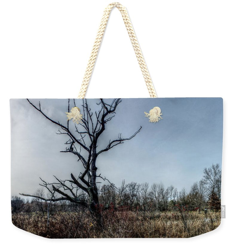 Panorama 3174 Morris Arboretum of the University of Pennsylvania - Weekender Tote Bag