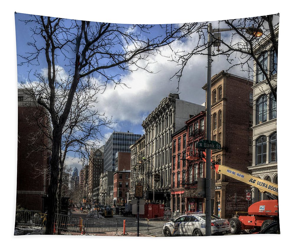 Panorama 3607 200 Block of Chestnut Street - Tapestry