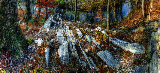 Panorama 3170 Morris Arboretum of the University of Pennsylvania - Art Print