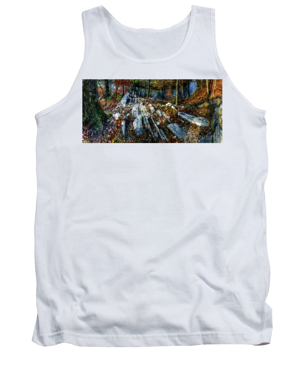 Panorama 3170 Morris Arboretum of the University of Pennsylvania - Tank Top