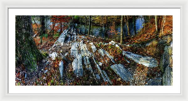 Panorama 3170 Morris Arboretum of the University of Pennsylvania - Framed Print