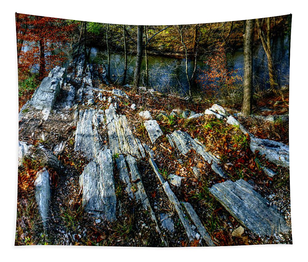 Panorama 3170 Morris Arboretum of the University of Pennsylvania - Tapestry