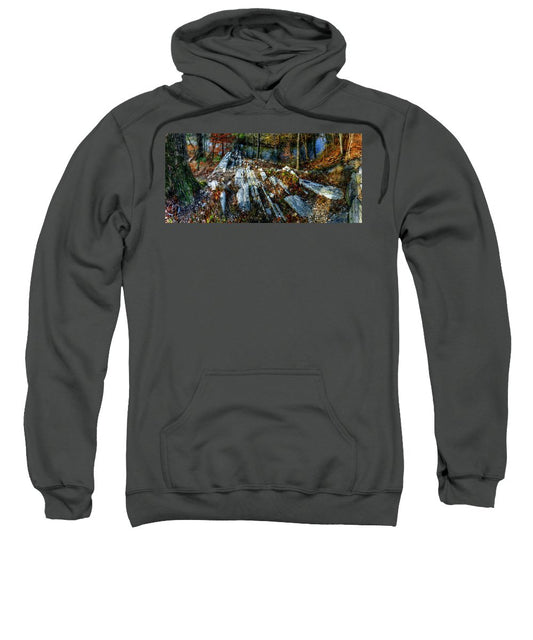 Panorama 3170 Morris Arboretum of the University of Pennsylvania - Sweatshirt