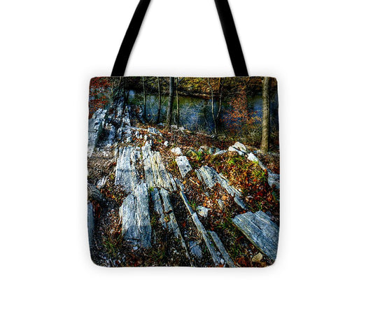 Panorama 3170 Morris Arboretum of the University of Pennsylvania - Tote Bag