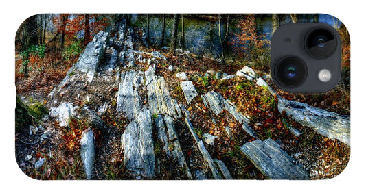 Panorama 3170 Morris Arboretum of the University of Pennsylvania - Phone Case